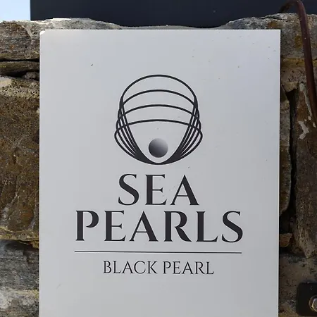 Black Pearl - Sea Front Βίλα Αμπελάς